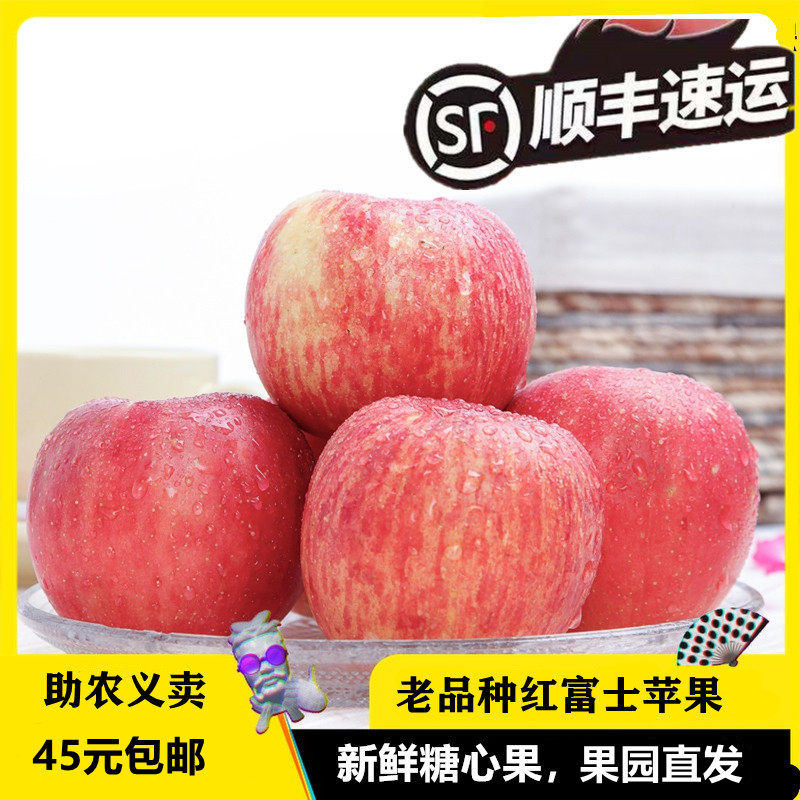 运城万荣新鲜水果应季苹果老品种冰糖心红富士现摘现发礼盒10斤