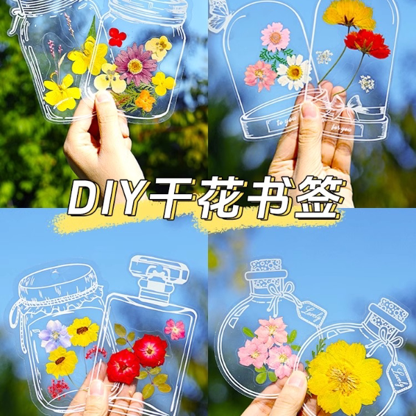 干花书签植物标本塑封膜秋天收集枫叶手工diy材料透明树叶粘贴画