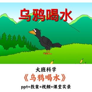 幼儿园大班科学 《乌鸦喝水》 PPT教案视频课堂实录优质公开课