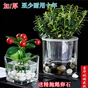 加厚圆形正方形玻璃花盆水培水养郁金香绿萝花器大口透明家居饰品