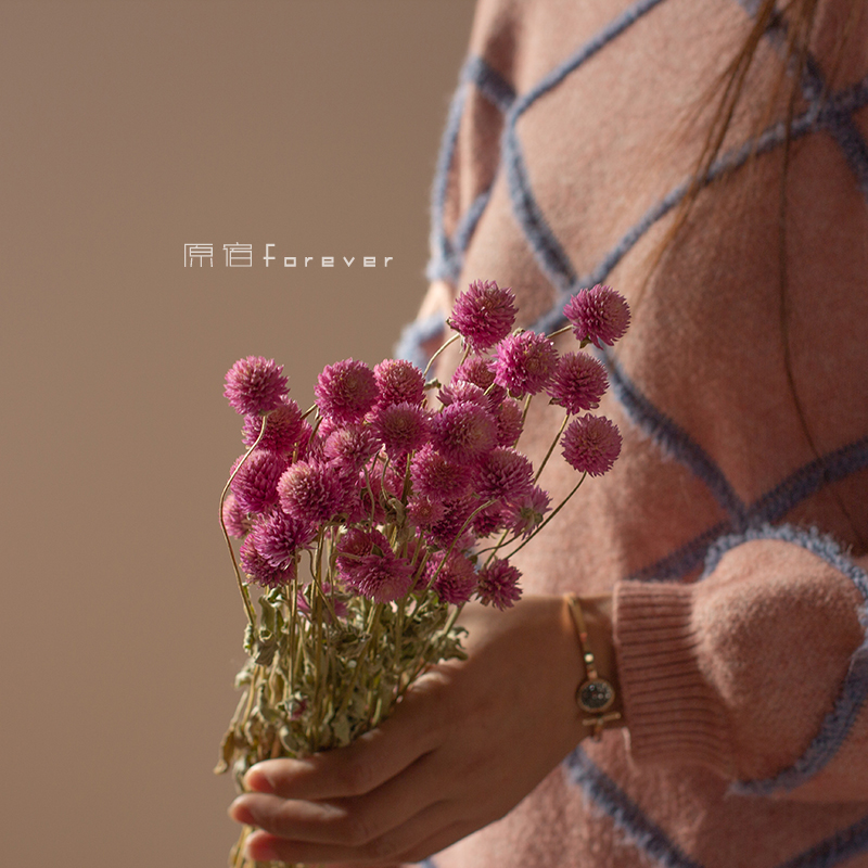 淡粉色文艺风搭配民宿摆拍干花