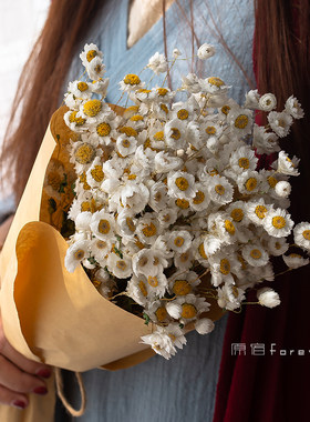天然真花小雏菊拍照摆设野餐花束