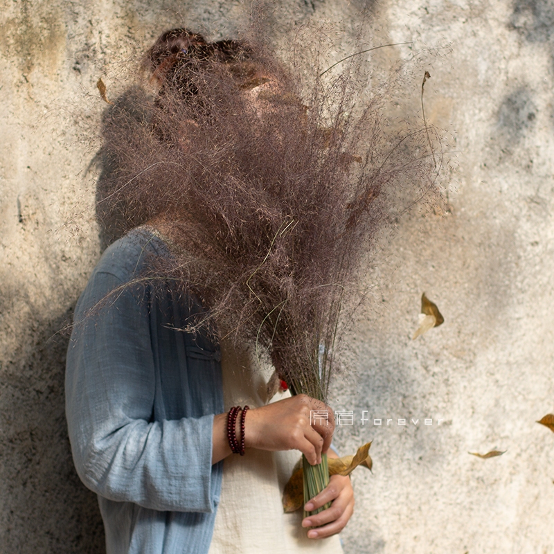 粉黛子草网红款抖音格调民宿干花