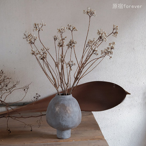 小白果树枝装饰干花果