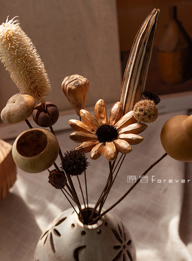 真植物干花松果莲蓬云杉干枝棉花秋葵民宿复古风插花拍摄装饰搭配