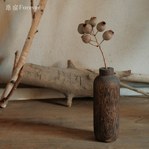 侘寂风禅意豌豆果实干花