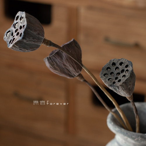 真杆莲蓬复古禅意民宿软装干树枝