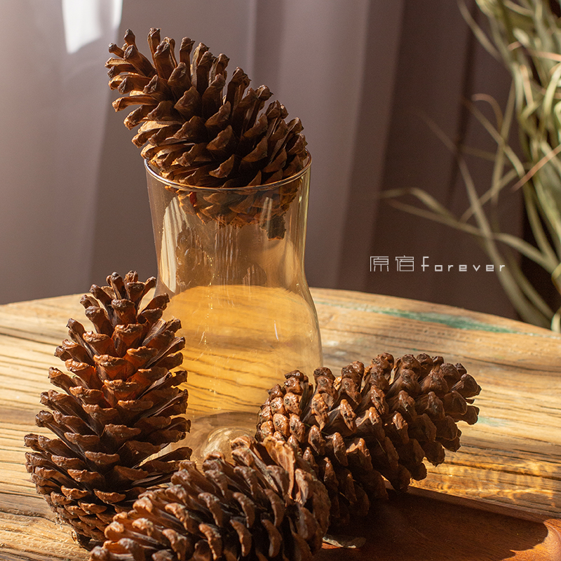 大松果场景布置圣诞树搭配干花