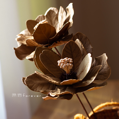 秋叶干花复古民宿装饰客厅桌面