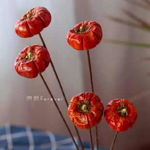 巴西进口天然植物风干小南瓜干花干果实家居客厅装饰圣诞节日装扮