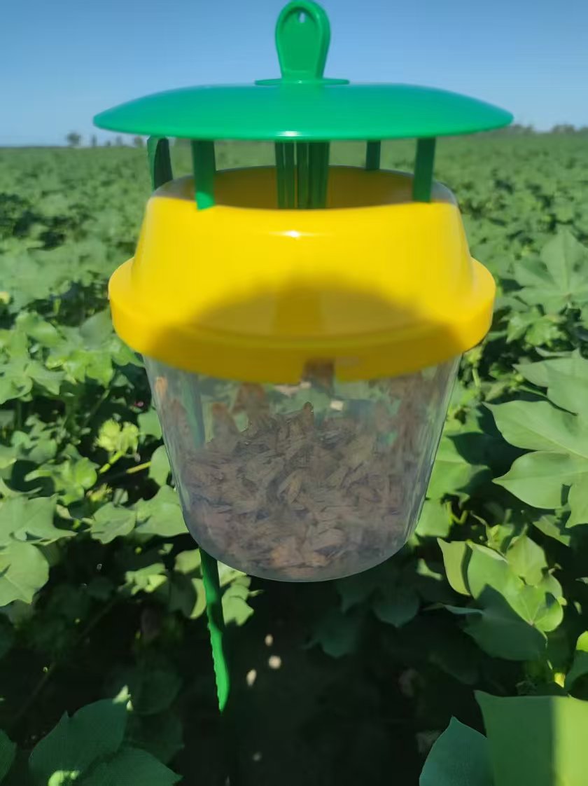棉花飞蛾棉铃虫诱捕器棉铃虫诱芯信息素棉花飞蛾引诱器捕蛾器