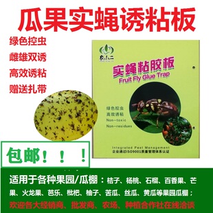 50张瓜果实蝇诱粘板诱虫板诱杀瓜果实蝇板贴纸包邮