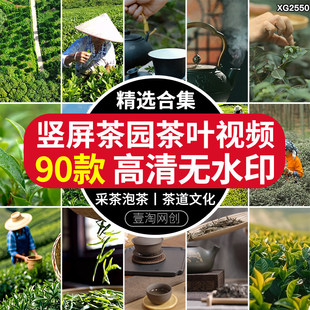 竖屏茶园茶叶特写绿茶茶山茶场茶农采摘采茶冲泡茶道高清视频素材