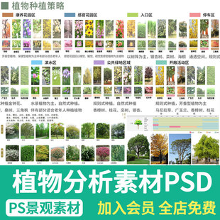 植物种植分析图PS景观环艺展板排版植物春夏秋配置分析图psd素材
