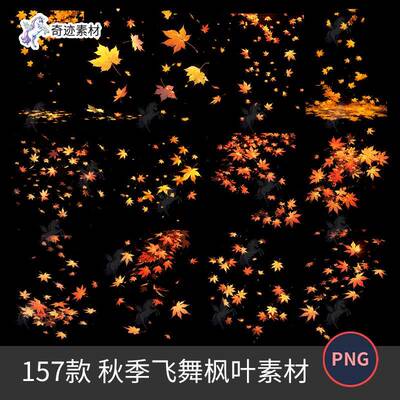 秋季飞舞枫叶动漫卡通光影漂浮氛围cos特效PNG免抠图后期合成素材