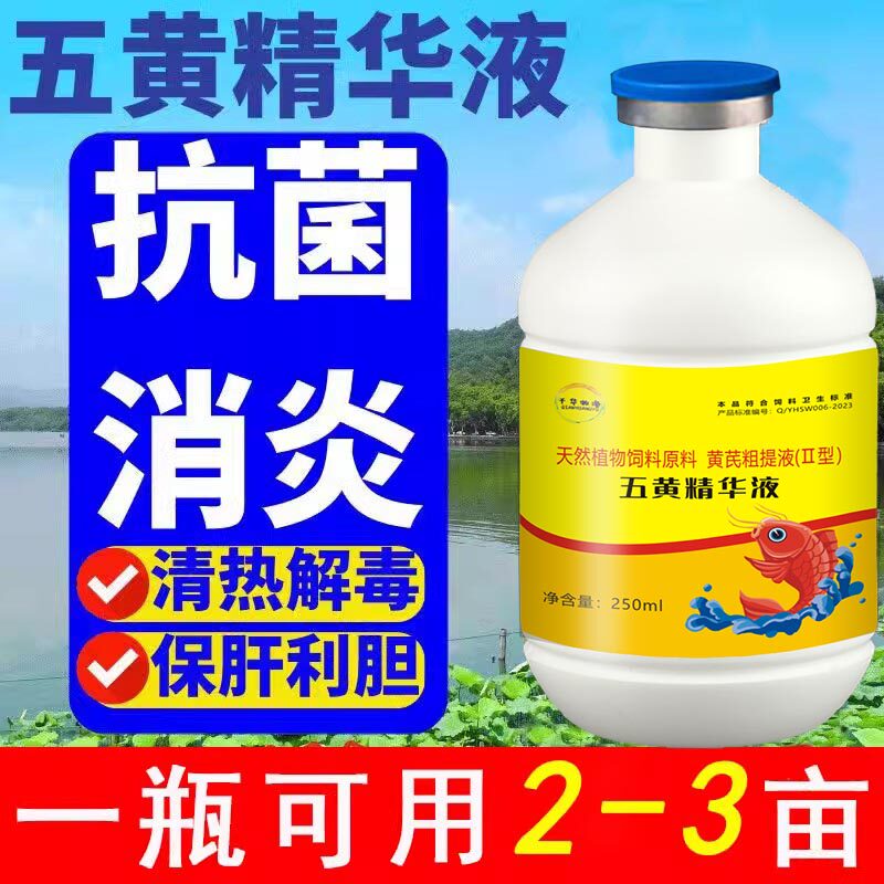 五黄精华液水产养殖腐皮烂鳃灵肠道问题红体白斑清热解毒抗菌保肝