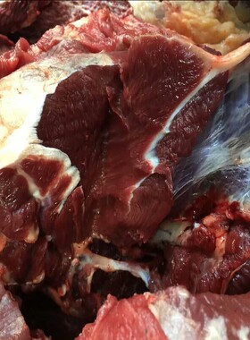 新鲜牦牛肉牛健子高原现杀牛腱子
