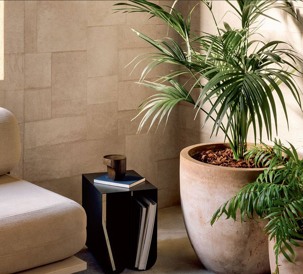 elits法国简约客背景动物毛