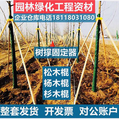 树木支撑架绿化支撑杆苗木固定器植物支撑杉木松木杨木树木防风杆 - 封面