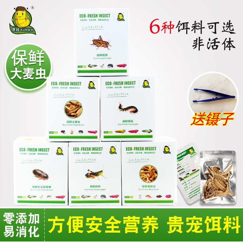 昆娃保鲜昆虫饵料黄粉大麦虫杜比亚蟑螂蟋蟀蜈蚣蚂蚱蜢小宠物食粮|msdalam kategori haiwan peliharaan/makanan haiwan dan bekalan, Reptilia/Serangga dan bekalan Ming, Reptilia/Serangga makanan Ming - dari Buy2taobao.com untuk memberikan perkhidmatan ejen Taobao profesional membeli