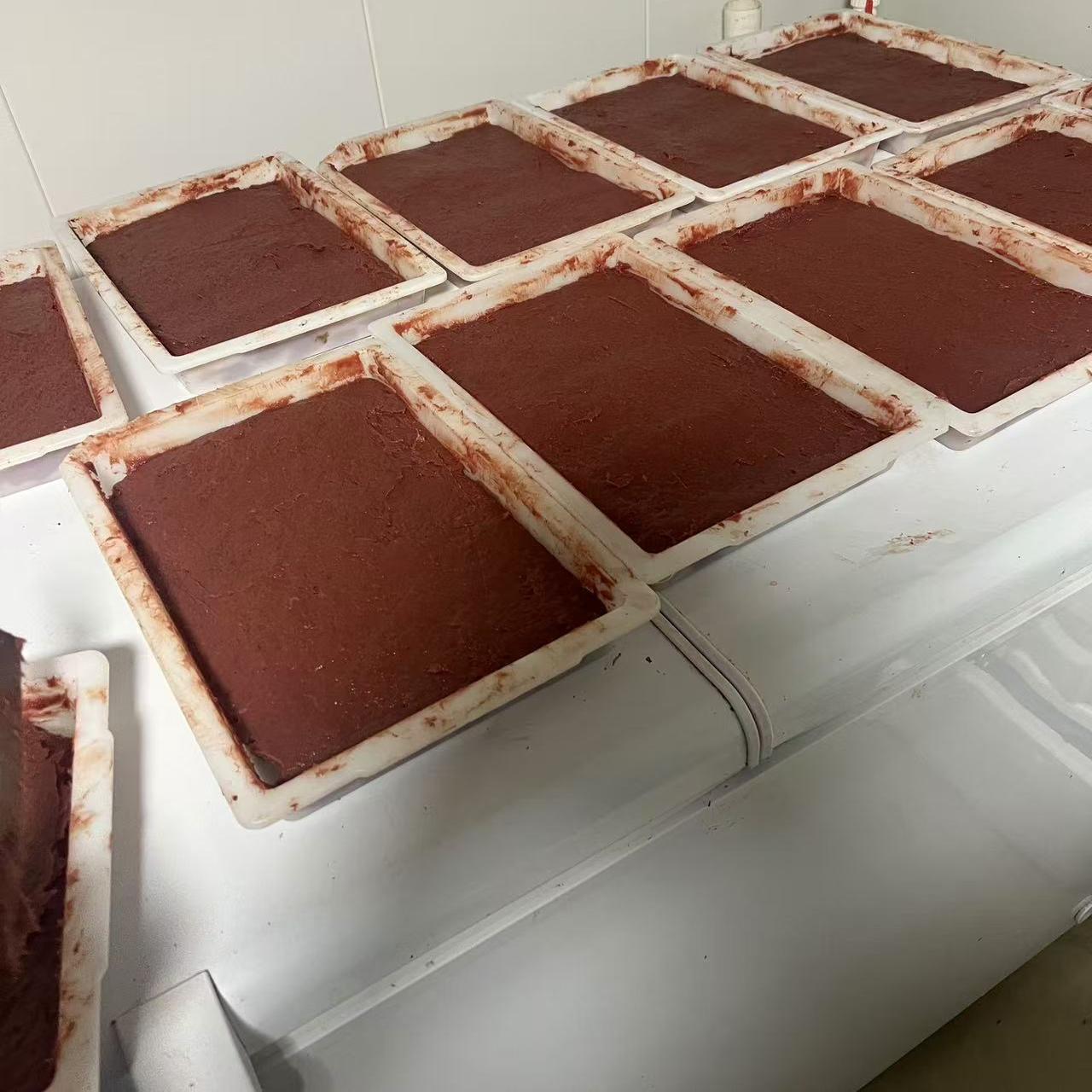 七彩神仙鱼饲料牛心汉堡鱼食手工观赏鱼饲料