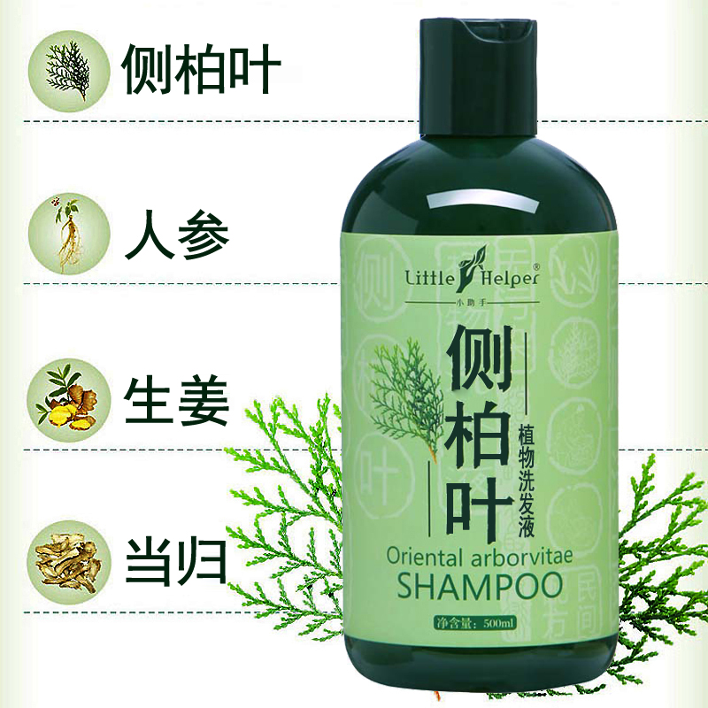 侧柏叶控油去屑洗发水