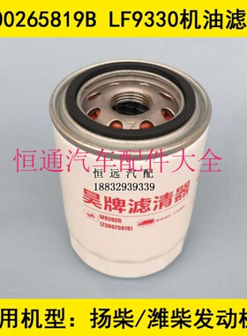 总成件号1000265819B适配国四跃进小福星机油滤芯产品型号LF9330
