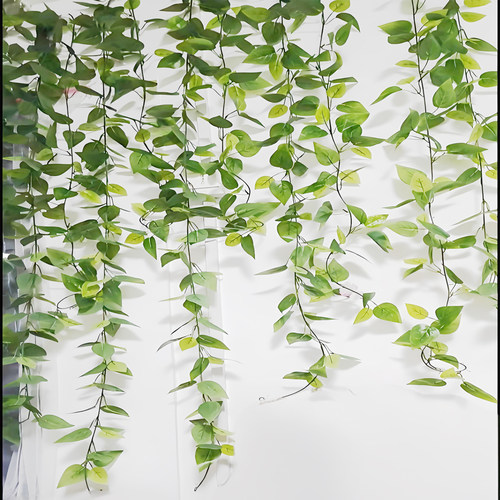 仿真绿萝叶藤条空调管装饰爬山虎