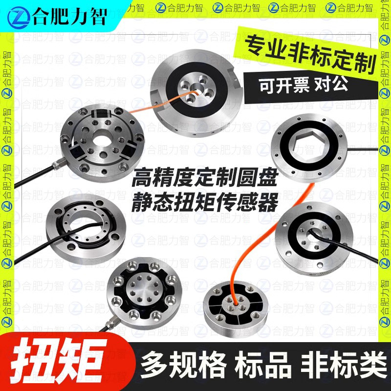 徽力智不锈钢模拟量测扭力