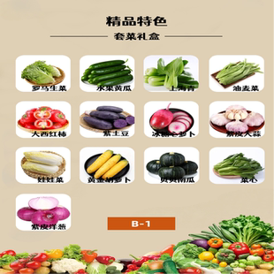 【顺丰包邮】产地直发新套菜组合13种搭配送礼福利礼盒B1/B2