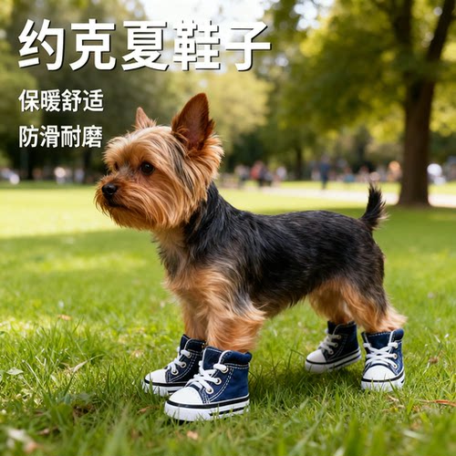 约克夏防水防脏耐磨牛仔宠物鞋