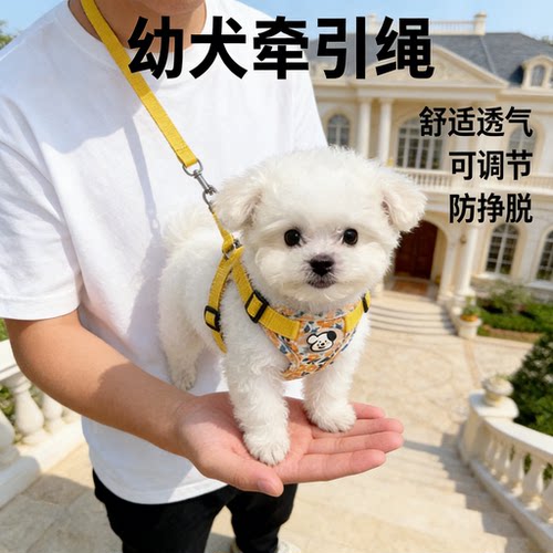 幼犬背心式防挣脱防牵引绳