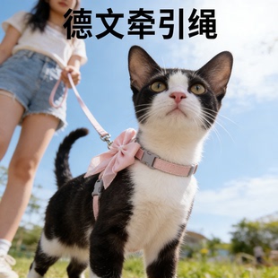 德文卷毛猫专用背心式牵引绳斯芬克斯猫外出工字防挣脱可调节猫绳