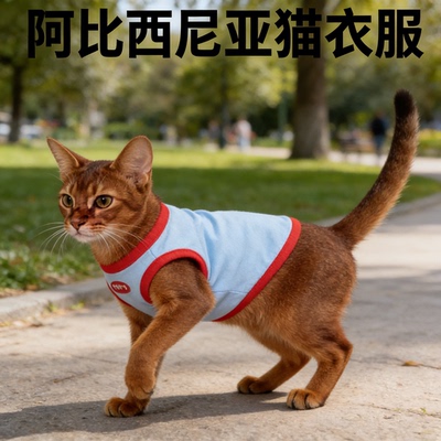 阿比西尼亚猫咪防掉毛透气背心