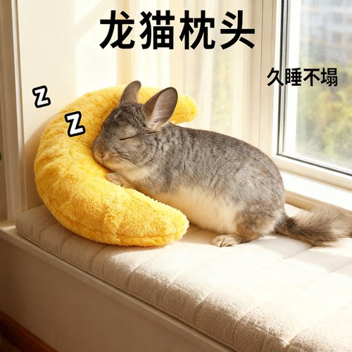 宠物龙猫枕头过冬舒适冬天睡觉玩