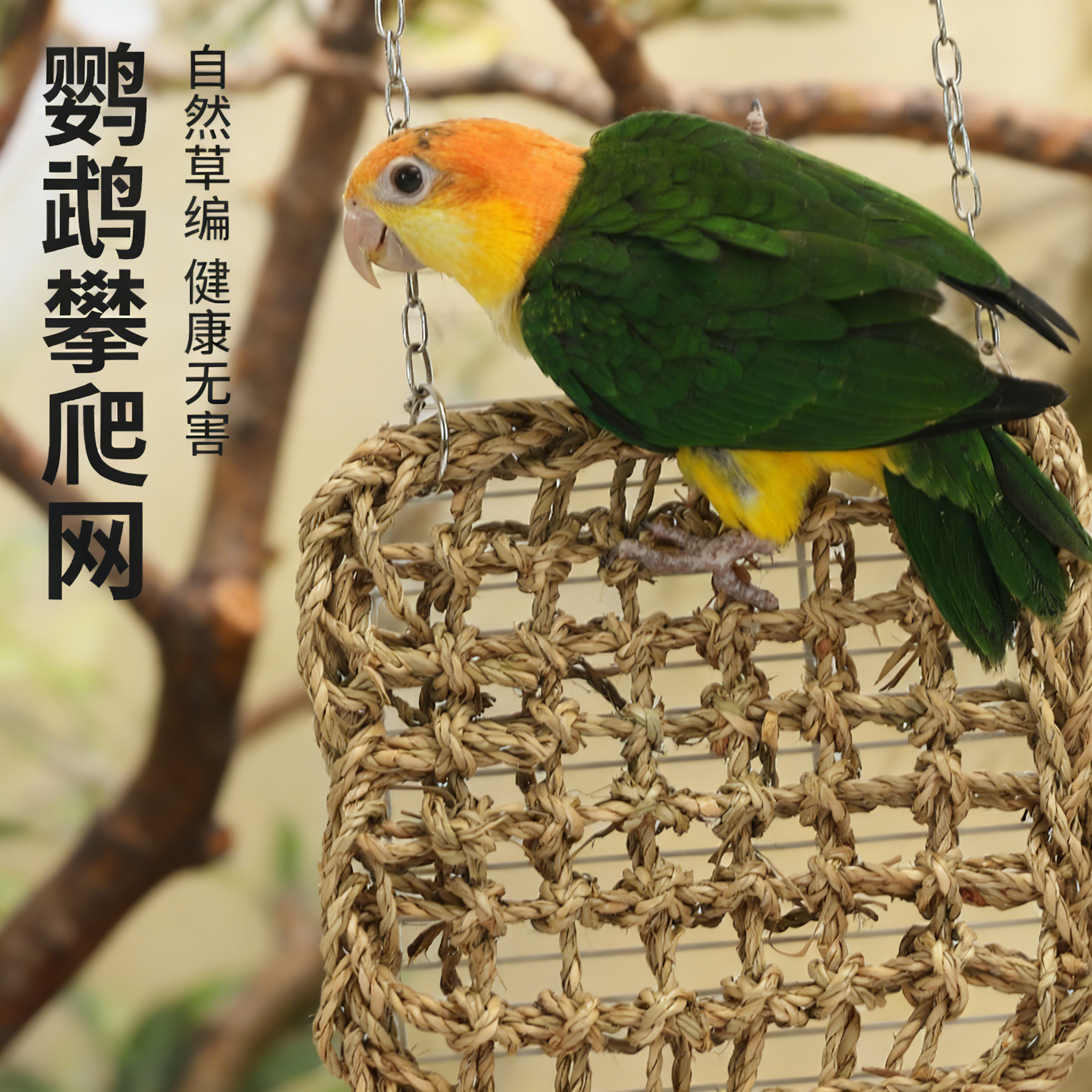 鹦鹉攀爬网啃咬解闷玩具