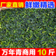10斤商用批发 万年青菜干菜心干菜脱水蔬菜嫩菜心新鲜干货菜类