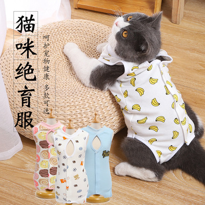 猫咪衣服猫咪绝育服春夏季猫咪手术服防断奶服蓝猫英短小猫猫衣服