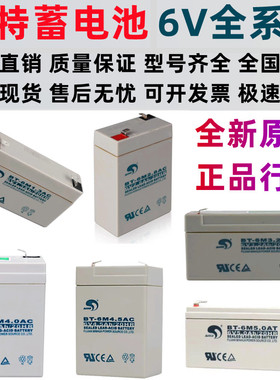 赛特蓄电池BT-6M7.0AC6V4AH5A3.2A2.8电子秤吊秤童车仪器仪表铅酸