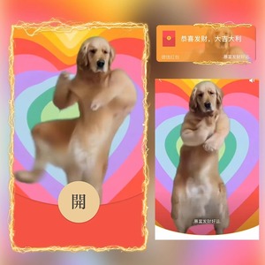 狗子跳舞微信红包封面2025新款搞笑VX皮肤序列号动态音乐非永久