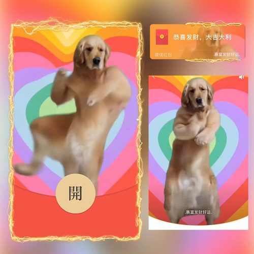 狗子跳舞微信红包封面动态音乐