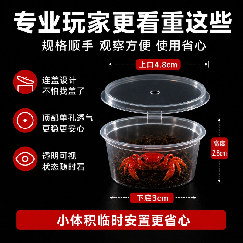 辣椒蟹运输盒迷你寄居蟹观察盒带透气孔小型水陆宠物临时饲养圆盒