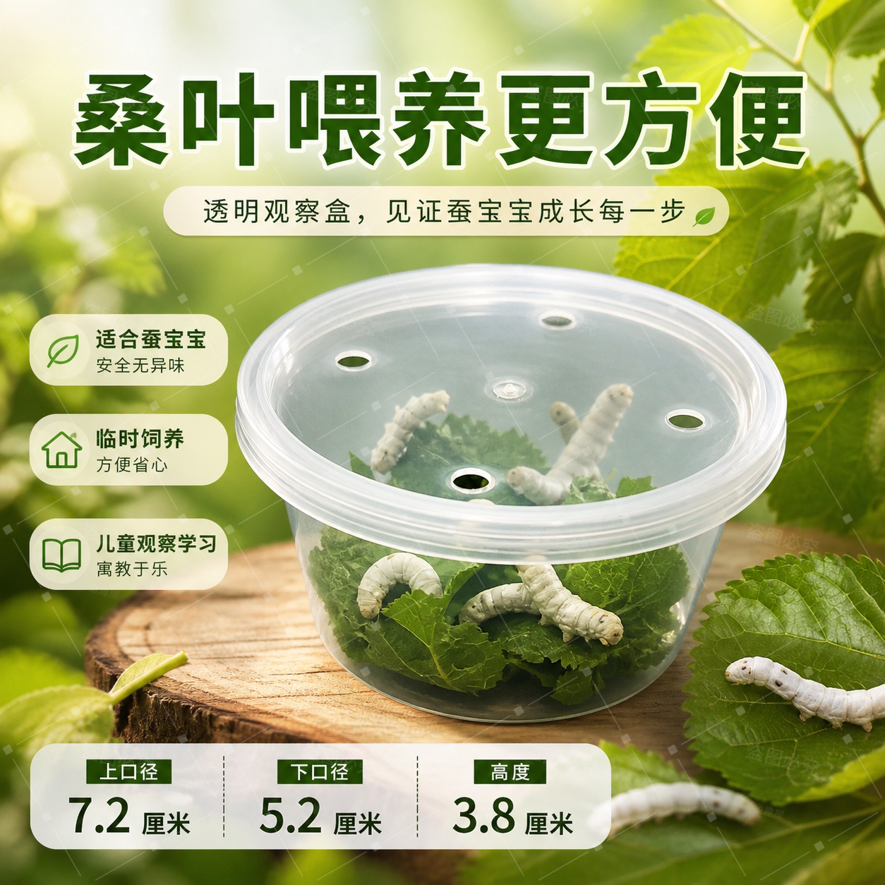 蚕宝宝饲养盒儿童昆虫观察盒带透气孔养蚕盒幼虫透明圆盒