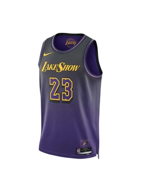 Nike/耐克 紫金湖人 LBJ詹姆斯23号/6号球衣DN2081-DO9530-FQ4346