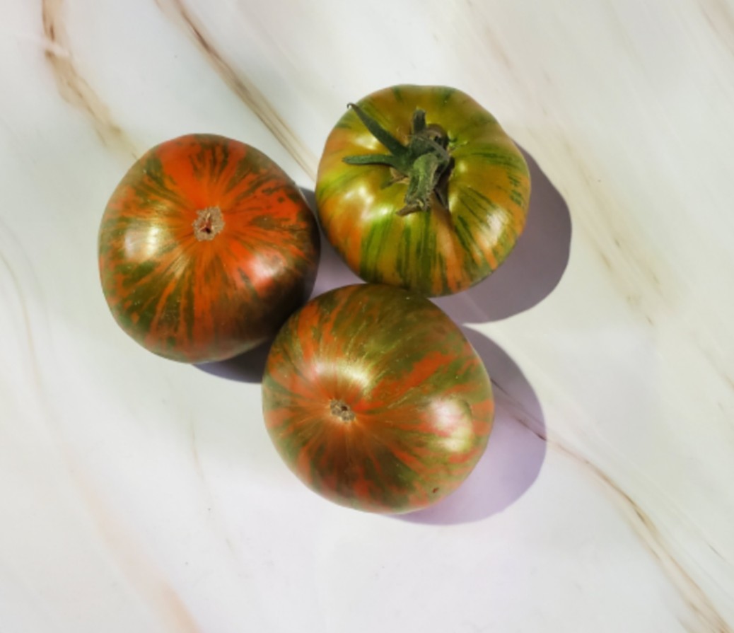 151丝带RIBBON（5粒种子）