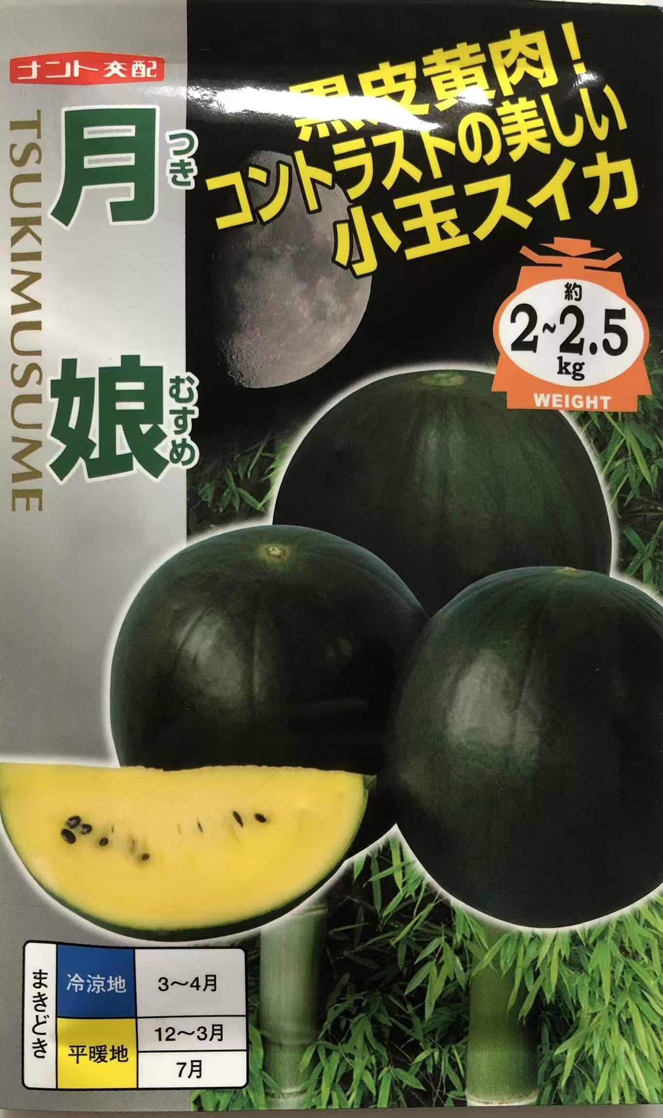 XG06月娘F1进口西瓜五粒种子无售后全店满30包邮偏远地区