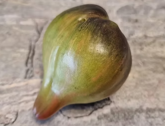 1042VT16三色2025新品五粒种子全店满38包邮偏远地区除外