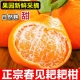 四川春见耙耙柑9斤新鲜水果当季 整箱丑耙耙八怪桔子甜整箱耙耙柑
