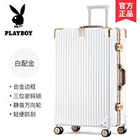 Бай Даодзин [граница сплава]