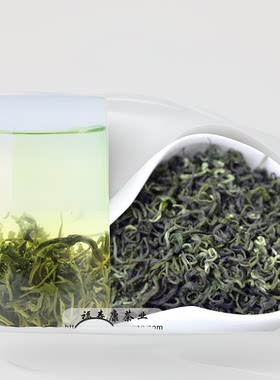 2026年茶明前茶叶野绿茶